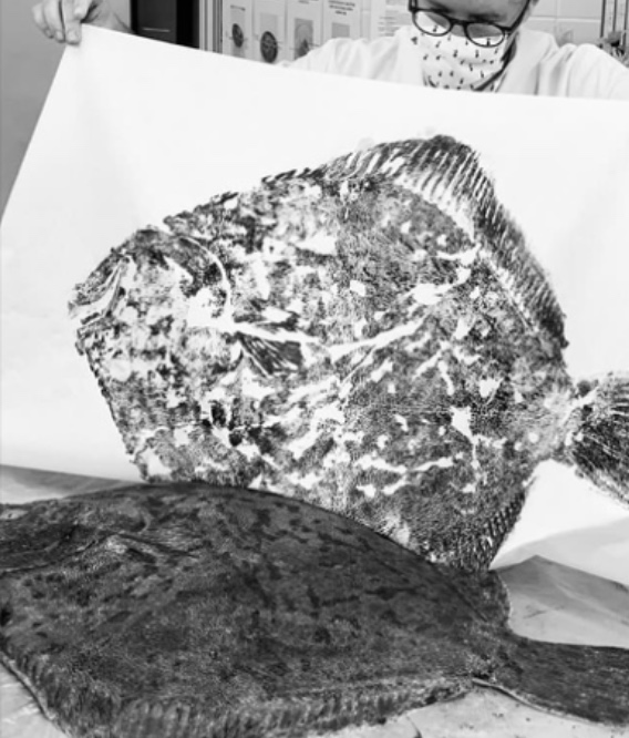 Luc Legendre Gyotaku